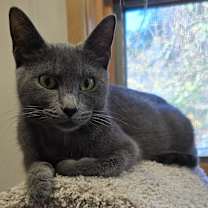 Thumbnail photo of India #1