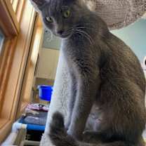 Thumbnail photo of India #2