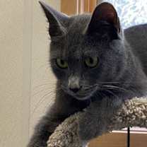 Thumbnail photo of India #3