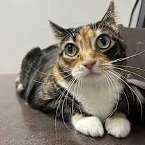 Thumbnail photo of Marcy #3