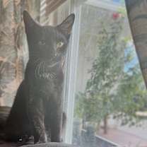 Thumbnail photo of Oliver #1