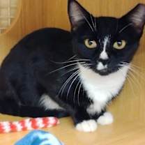 Thumbnail photo of Lucy #1