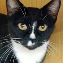 Thumbnail photo of Lucy #2