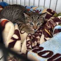 Thumbnail photo of Fiji #1