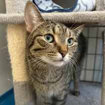 Thumbnail photo of Urchin #1