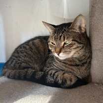 Thumbnail photo of Urchin #2