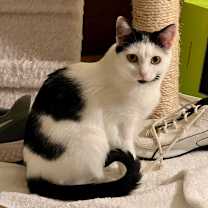 Thumbnail photo of Lulu #1