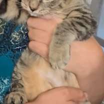 Thumbnail photo of Jumper #3