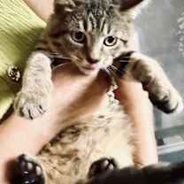 Thumbnail photo of Jumper #4