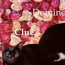 Thumbnail photo of Domino #4