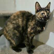 Thumbnail photo of Rachel #3