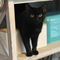 Thumbnail photo of Lil' Spice #1