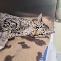 Thumbnail photo of Marilyn #3