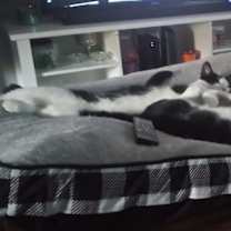 Thumbnail photo of Po Boy #4