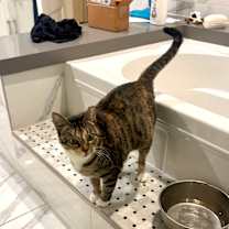 Thumbnail photo of Socks #3