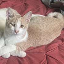 Thumbnail photo of Zen & Benny #2