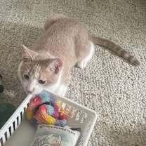 Thumbnail photo of Zen & Benny #4