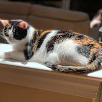 Thumbnail photo of Fiona #3