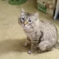 Thumbnail photo of Trashboat #2