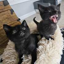 Thumbnail photo of Parker & Martin #2