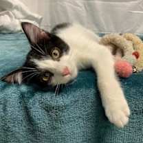 Thumbnail photo of Andre #1