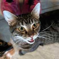 Thumbnail photo of Candi #2