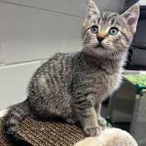 Thumbnail photo of Billy #2