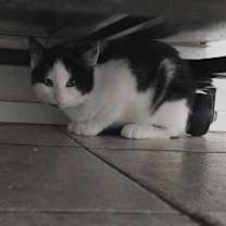 Thumbnail photo of Confuzzle 25-1689 #1