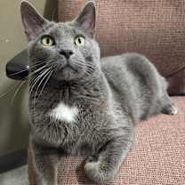 Thumbnail photo of Elton #2