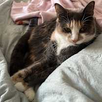 Thumbnail photo of Arya Stark #3