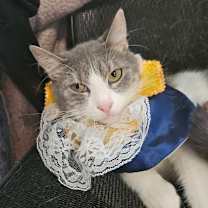 Thumbnail photo of Bon Bon #1