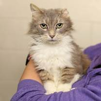 Thumbnail photo of Ebony #3