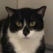 Thumbnail photo of McFlurry #4