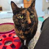 Thumbnail photo of Hope Davis #1