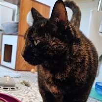 Thumbnail photo of Hope Davis #2