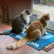 Thumbnail photo of Luke #2