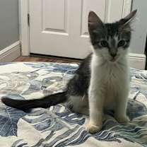 Thumbnail photo of Ro #2