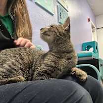 Thumbnail photo of Florence #3