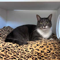 Thumbnail photo of KiKi #2