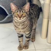 Thumbnail photo of First Mate #3