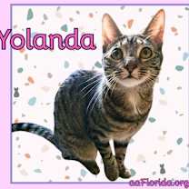 Thumbnail photo of Yolanda - Goddess of Churu #4