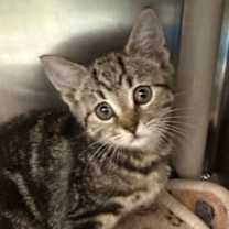 Thumbnail photo of Wizard #3