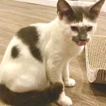 Thumbnail photo of Nellie #1