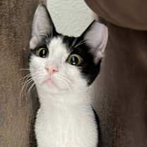 Thumbnail photo of Mini Me #2