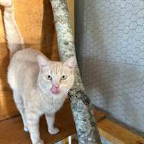 Thumbnail photo of Queenie #1