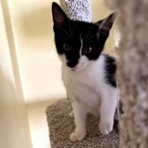 Thumbnail photo of Finn #2