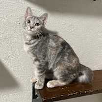 Thumbnail photo of Genevieve #1