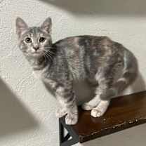 Thumbnail photo of Genevieve #2