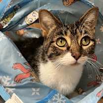 Thumbnail photo of Anne #1