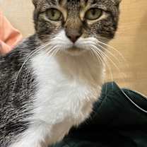 Thumbnail photo of Anne #2